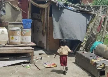 অবৈধ বাংলাদেশি ও রোহিঙ্গা শিশুদের স্কুলে ভর্তি করাতে আপত্তি দিল্লির রাজ্য সরকারের