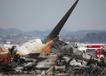 দক্ষিণ কোরিয়ায় উড়োজাহাজ দুর্ঘটনার কারণ
