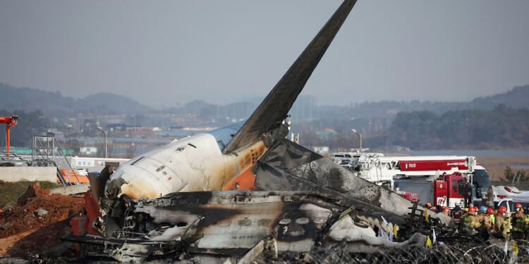 দক্ষিণ কোরিয়ায় উড়োজাহাজ দুর্ঘটনার কারণ