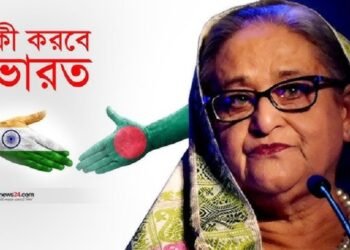 শেখ হাসিনাকে কী ফেরত দিচ্ছে ভারত? যা জানাল ইকোনমিক টাইমস