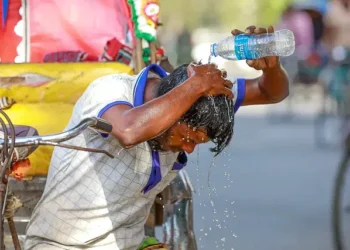 ফিরে দেখা ২০২৪: গুগলে যে ১০ শব্দ সবচেয়ে বেশি খোঁজা হয়েছে