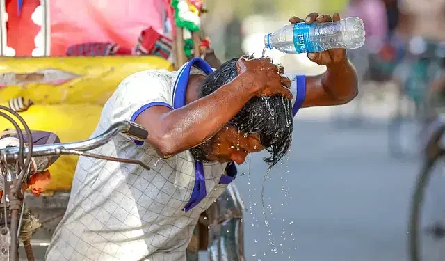 ফিরে দেখা ২০২৪: গুগলে যে ১০ শব্দ সবচেয়ে বেশি খোঁজা হয়েছে