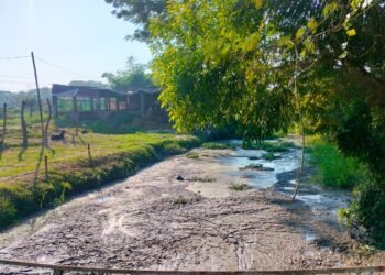 ১২০০ খামারের বর্জ্য যাচ্ছে কর্ণফুলী নদীতে, তীব্র দুর্গন্ধে অতিষ্ঠ এলাকাবাসী