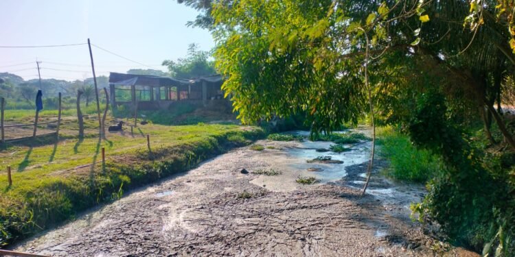 ১২০০ খামারের বর্জ্য যাচ্ছে কর্ণফুলী নদীতে, তীব্র দুর্গন্ধে অতিষ্ঠ এলাকাবাসী