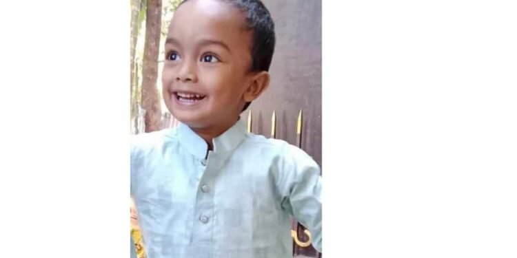 চন্দনাইশে ব্যাটারি চালিত অটোরিকশা চাপায় শিশু নিহত