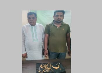 ব্যবসায়ীর ঘরে ডাকাতি: সাবেক উপজেলা ভাইস চেয়ারম্যানসহ গ্রেপ্তার দুই