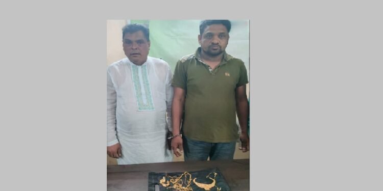 ব্যবসায়ীর ঘরে ডাকাতি: সাবেক উপজেলা ভাইস চেয়ারম্যানসহ গ্রেপ্তার দুই