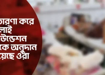 প্রতারণা করে জুলাই ফাউন্ডেশন থেকে অনুদান নিয়েছে ওরা