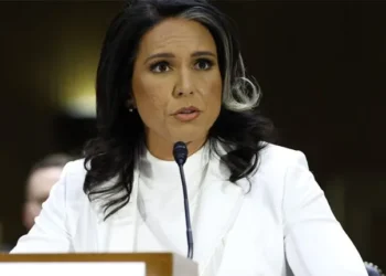 এনডিটিভিকে তুলসি গ্যাবার্ড বাংলাদেশ পরিস্থিতি নিয়ে উদ্বিগ্ন যুক্তরাষ্ট্র