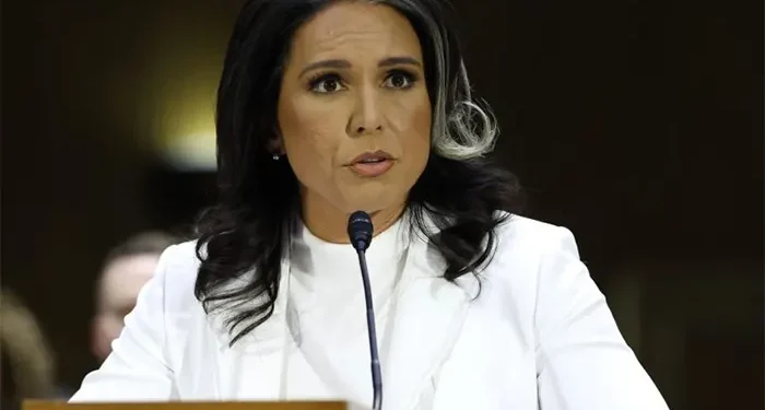 এনডিটিভিকে তুলসি গ্যাবার্ড বাংলাদেশ পরিস্থিতি নিয়ে উদ্বিগ্ন যুক্তরাষ্ট্র