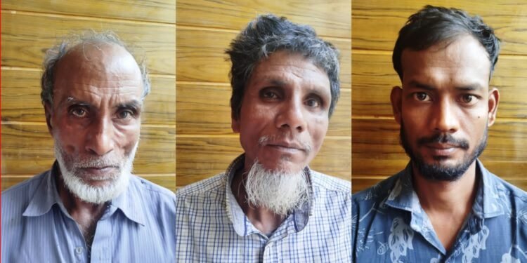 চট্টগ্রামের আনোয়ারা: জাল-বিষটোপ দিয়ে শিকার শেষে জবাই ৭০০ পাখি, গ্রেপ্তার তিন